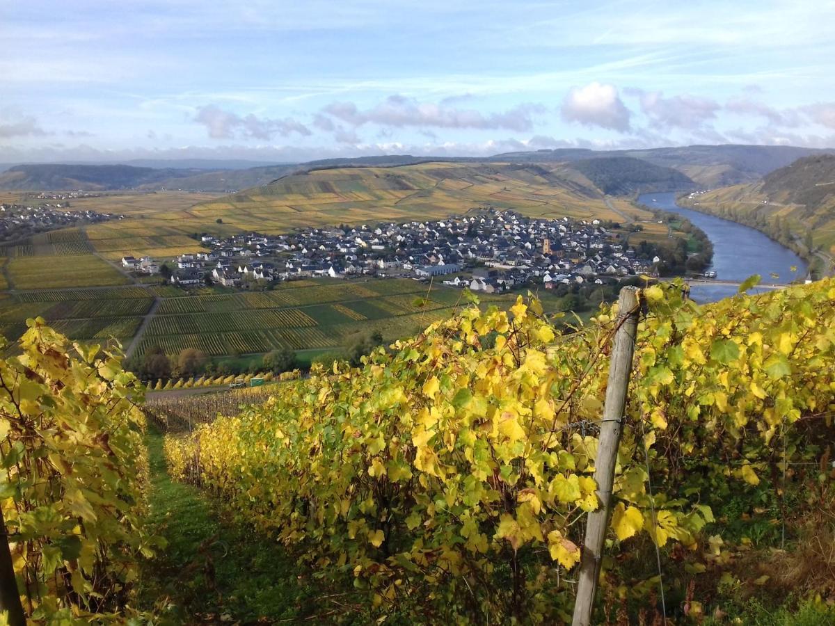 Ferienwohnung Bergblick Trittenheim Luaran gambar