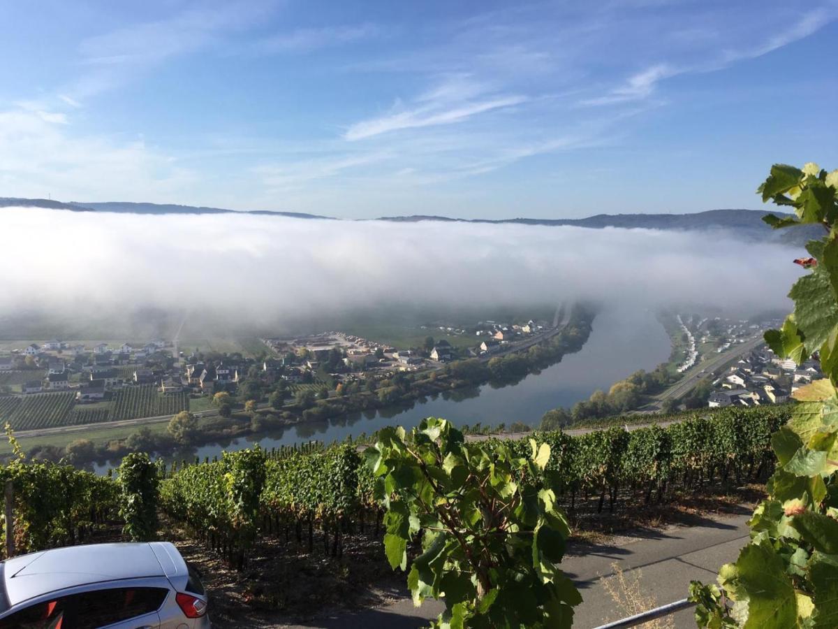 Ferienwohnung Bergblick Trittenheim Luaran gambar