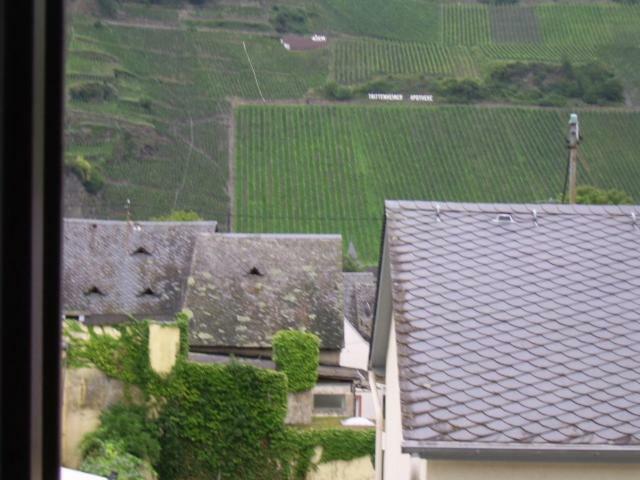 Ferienwohnung Bergblick Trittenheim Luaran gambar