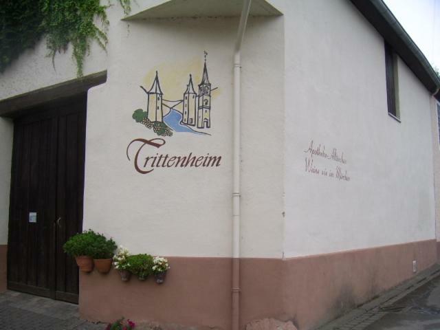 Ferienwohnung Bergblick Trittenheim Luaran gambar