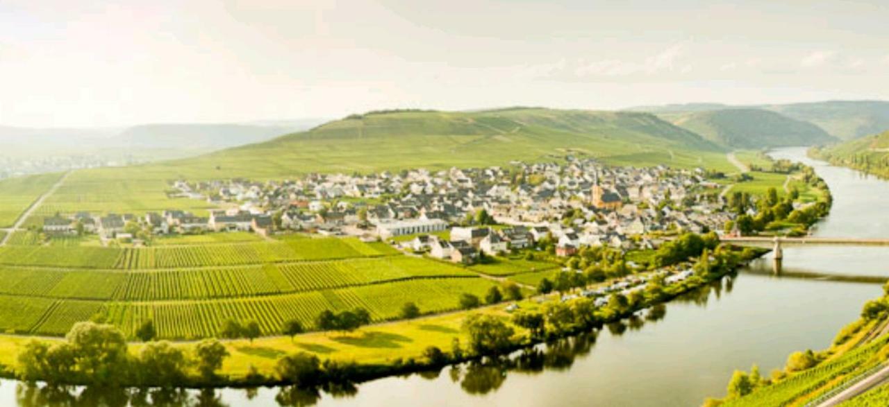 Ferienwohnung Bergblick Trittenheim Luaran gambar